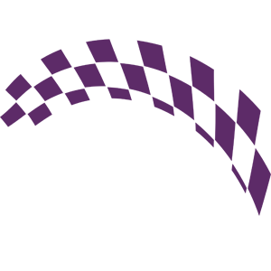      Racing Flag -   163 .