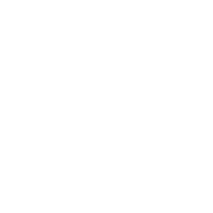      Racing Flag -   163 .