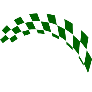      Racing Flag -   163 .