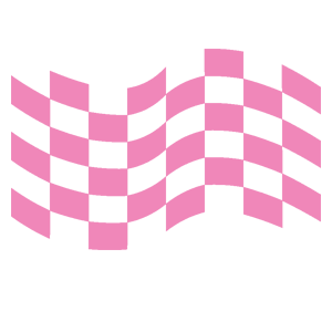����������� �� ����������� ������� �������� �Racing Flag� - ������ �� 106 ���.