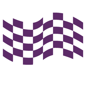      Racing Flag -   106 .