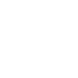        -   161 .