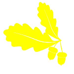         -   133 .