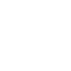     T-34 -   12 .