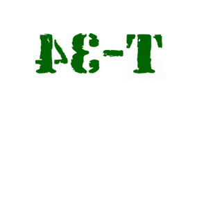      T-34 -   12 .