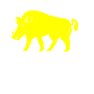       -   100 .