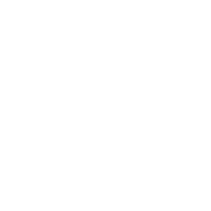        -   161 .