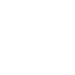         -   161 .