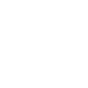        -   161 .