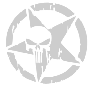   Star with skull -   133 .
