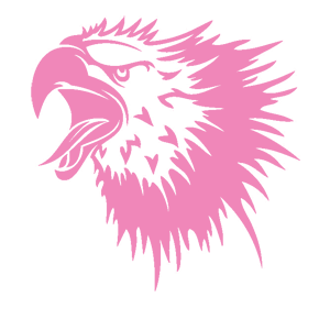        -   161 .