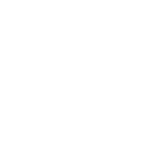        -   161 .