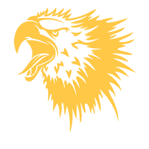        -   161 .