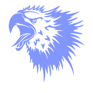        -   161 .
