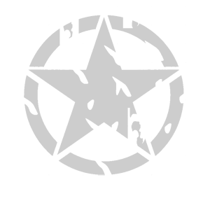 ����������� �� ����������� ���������� �������� �Star USA� - ������ �� 133 ���.