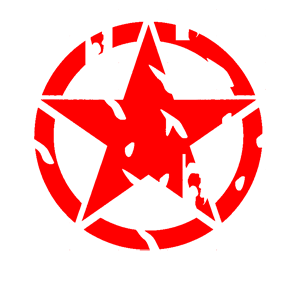      Star USA -   133 .