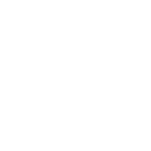   Willys Jeep -   133 .