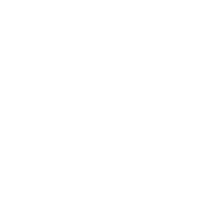      Duster Mafia -   100 .