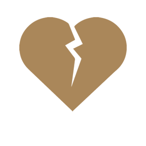 ����������� �� ����������� ������-���������� �������� ��������� ������ - ������ �� 25 ���.