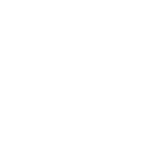  JDM Slut