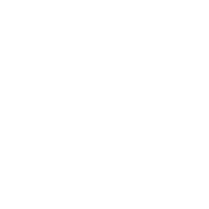  Duster Club
