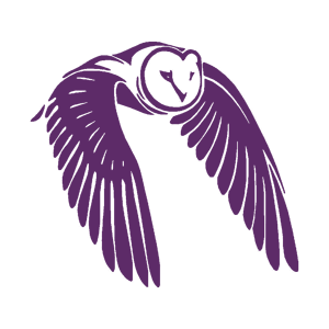         -   151 .
