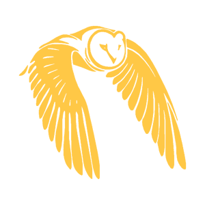         -   151 .