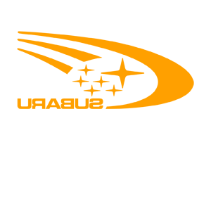      Subaru -   100 .