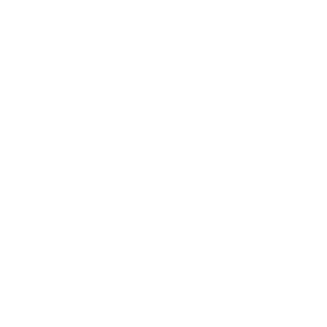      4x4 Off Road -   102 .
