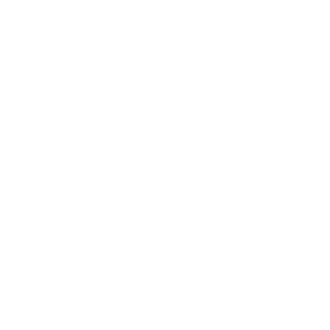      4x4 -   133 .