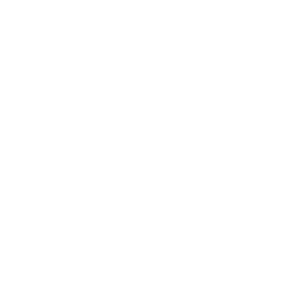      Bear () -   81 .