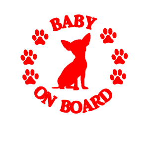  Baby on board