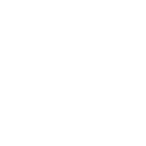     -   133 .