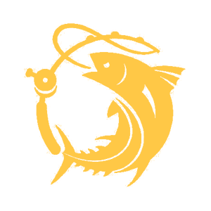       -   161 .