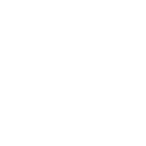        -   161 .