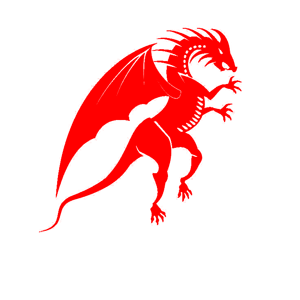        -   161 .