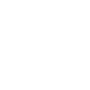      - (phantom ghost rider) -   161 .