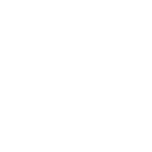      -   308 .