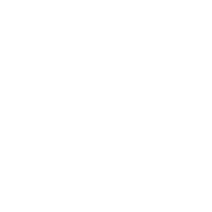        -   218 .