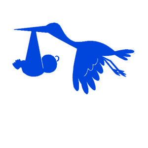 ����������� �� ����������� ����� �������� ����� ����� ������� - ������ �� 79 ���.