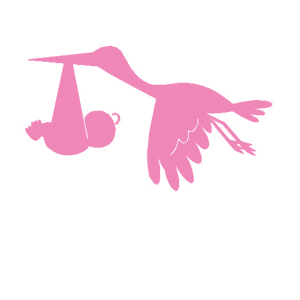         -   79 .