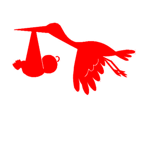         -   79 .