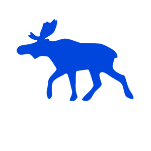       -   40 .