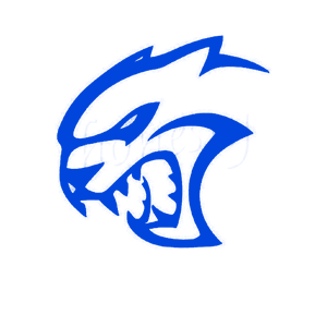   -   65 .