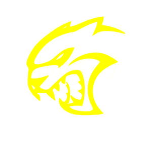    -   65 .