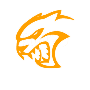    -   65 .