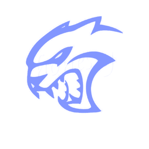    -   65 .