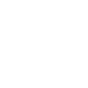      Mitsubishi Lancer X -   112 .