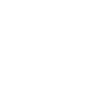         -   133 .