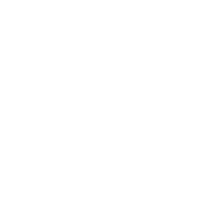        -   65 .
